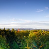 Deep Gratitude, Quiet&nbsp;Joy