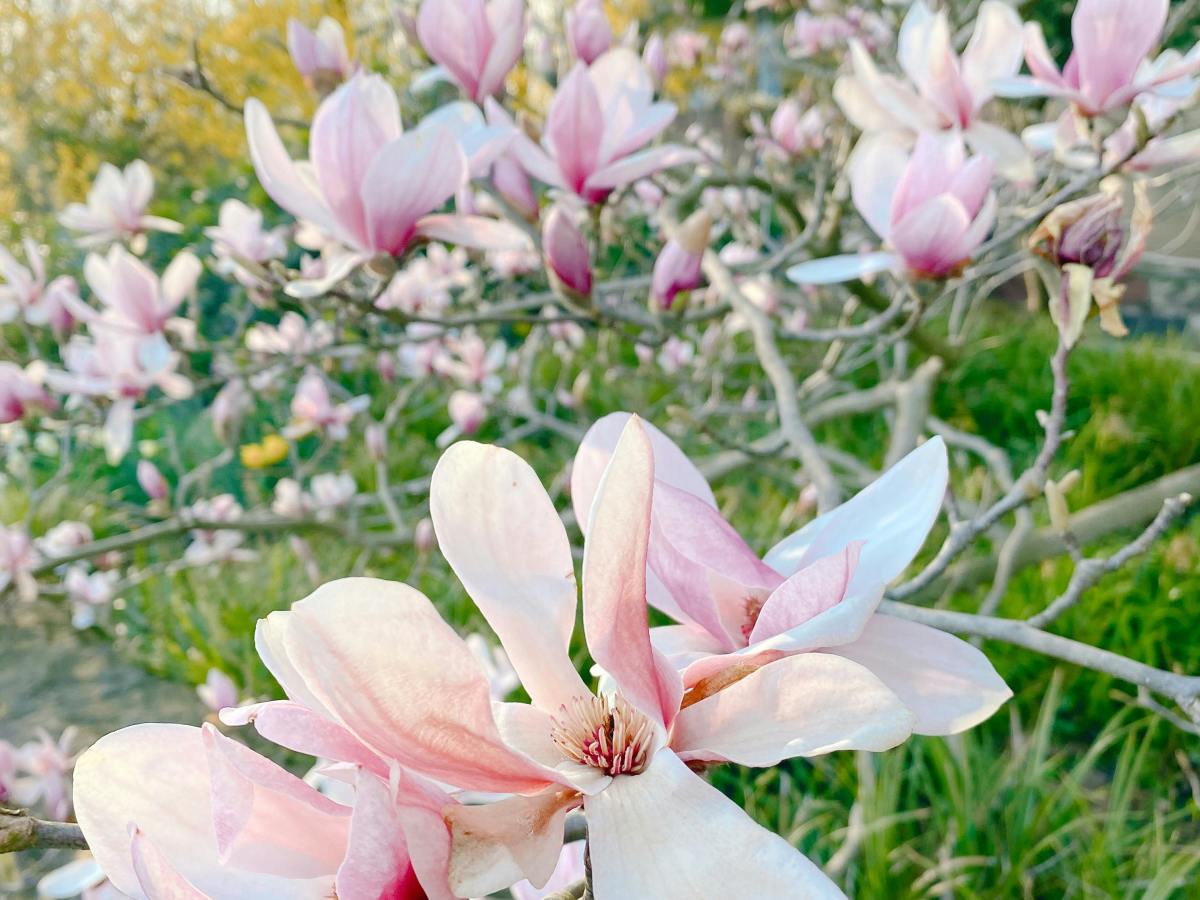 Each Step, Right&nbsp;Here